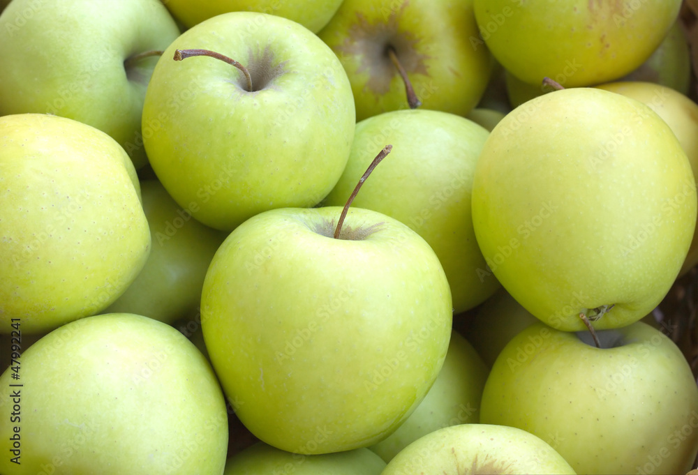 Many ripe green and yellow apples closeup Many ripe green and yellow apples closeup