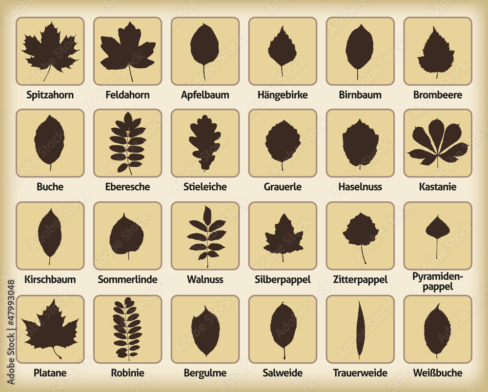 Laubblätter Vektor Stock-Vektorgrafik | Adobe Stock