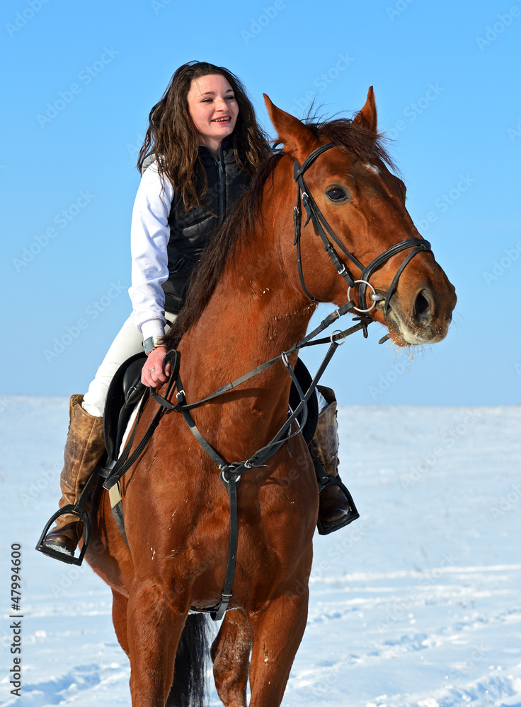 Fototapeta premium Horse