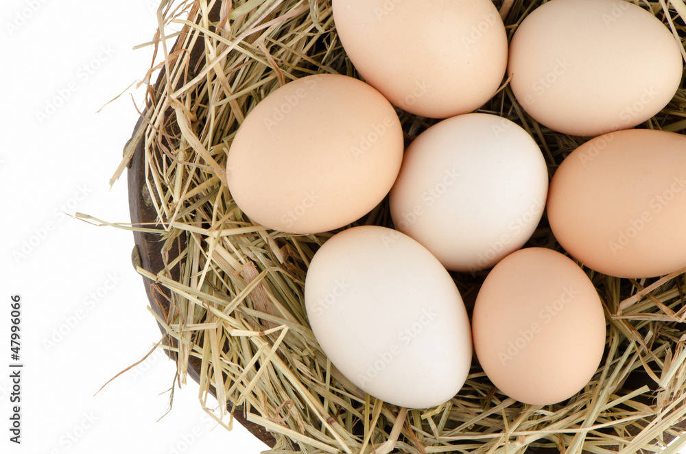 Eggs closeup Eggs closeup