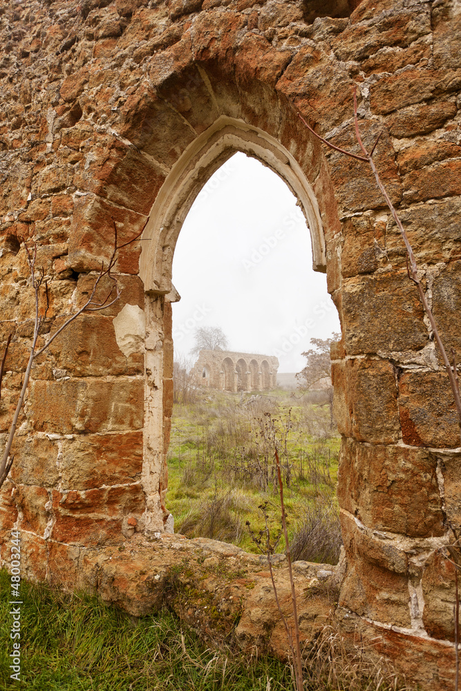 Ruined Monastery Window I