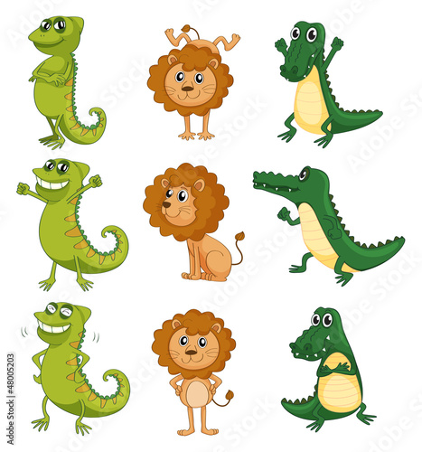 A lion, a chameleon and a crocodile