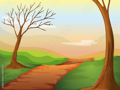 A lonely road