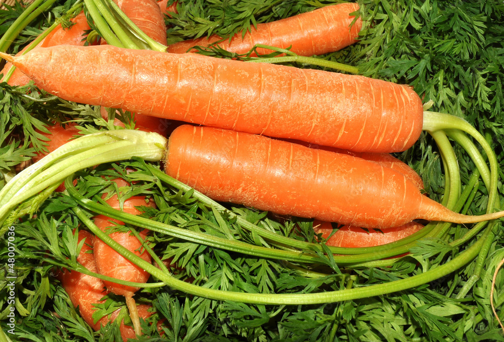 Raw Carrots Raw Carrots