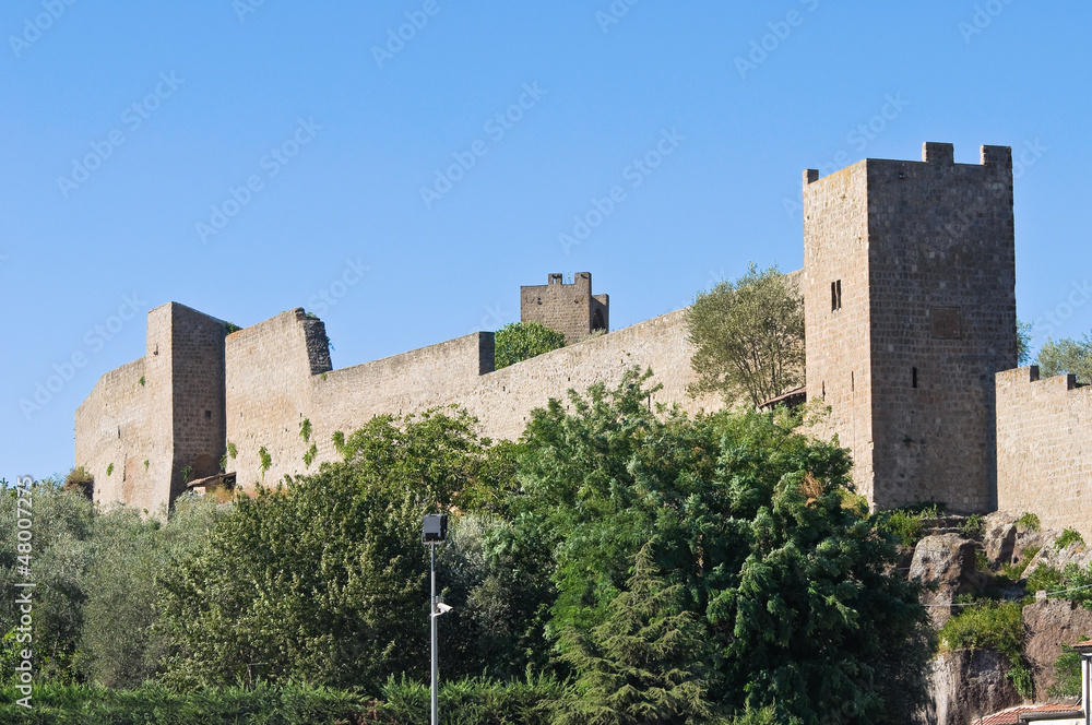 Fortified walls. Viterbo. Lazio. Italy.