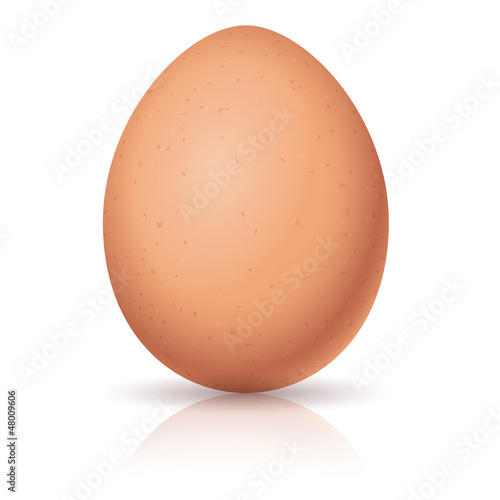 Realistic egg