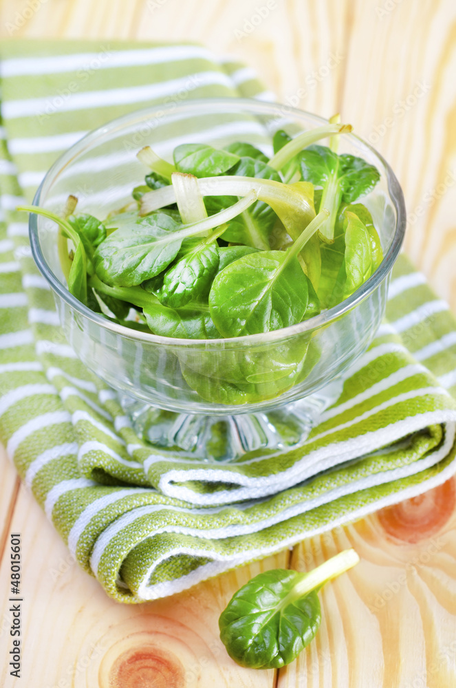 Obraz premium spinach