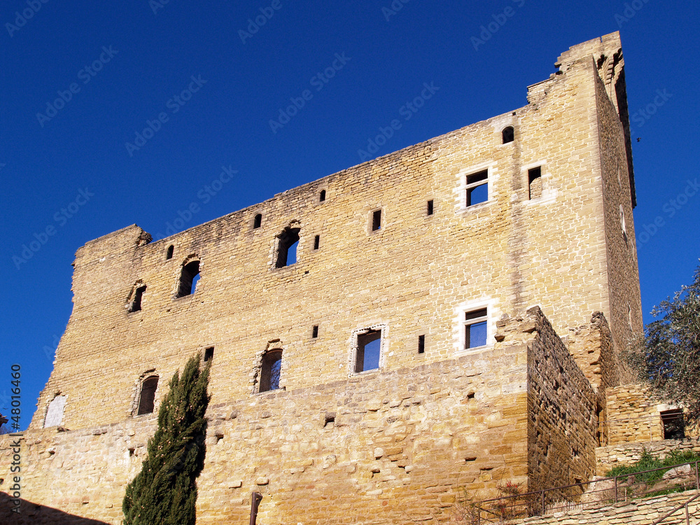The Papal Castle in Chateauneuf-du-Pape