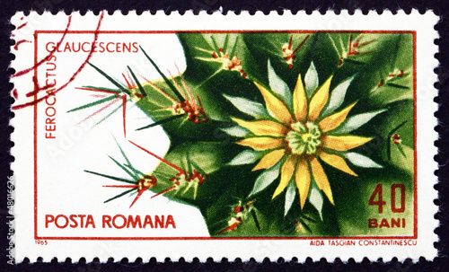 Postage stamp Romania 1965 Ferocactus Glaucescens, Cactus photo