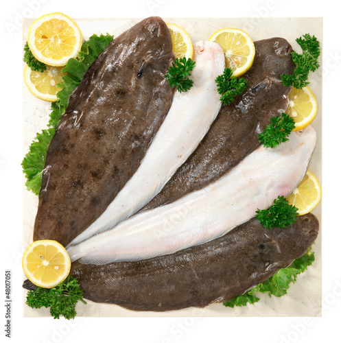 Sogliole - Fish, sole photo