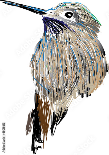 Bird with a long beak