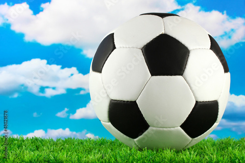 football ball on green grass, on blue sky background © Africa Studio