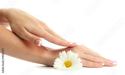 Beautiful woman hands with camomile, isolated on white