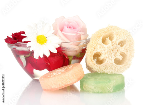 Obraz na płótnie Loofah isolated on white