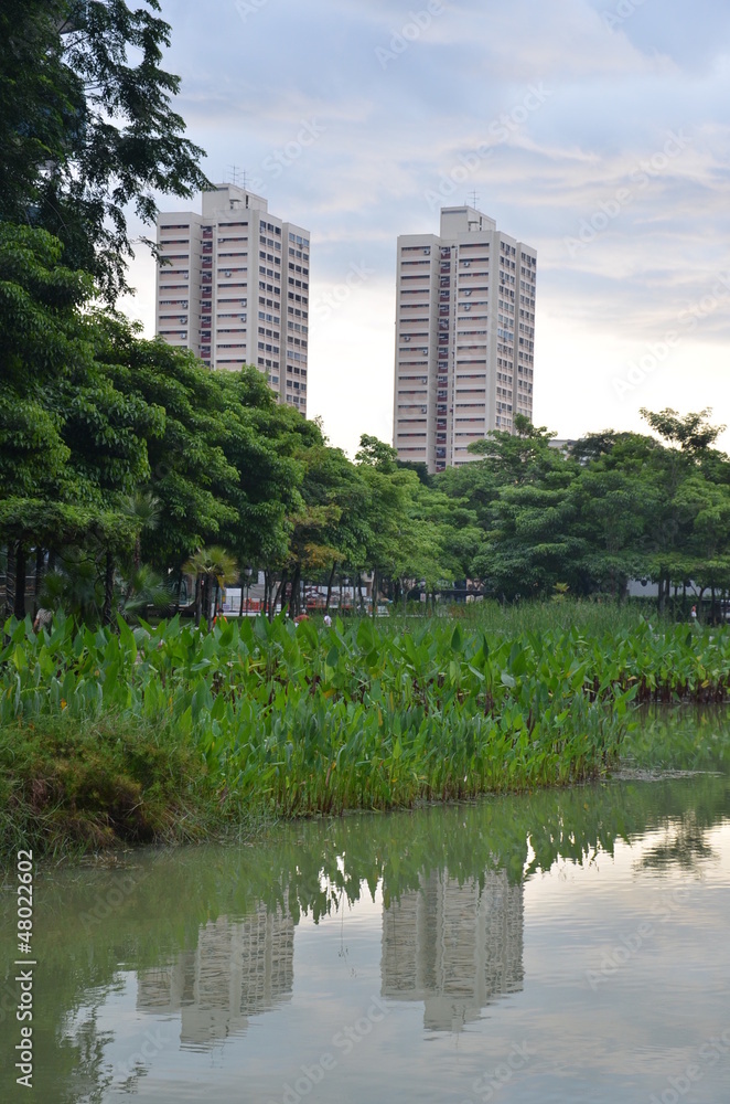 Two high rise buildings in Singapore as seen from a local park.