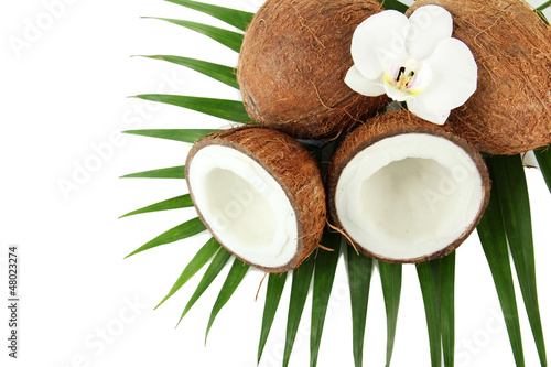 Coconuts with leaves and flower, isolated on white