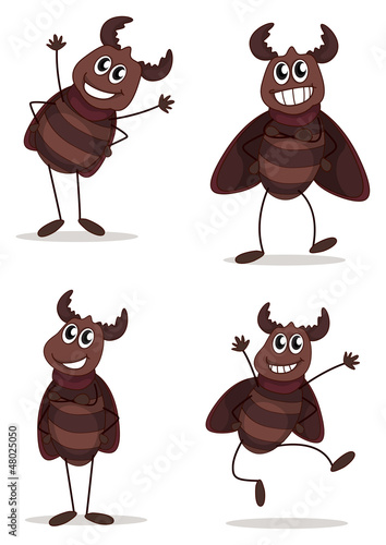 Four beetles