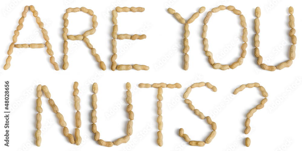Sentence Written Using Letters Made of Peanuts Sentence Written Using Letters Made of Peanuts