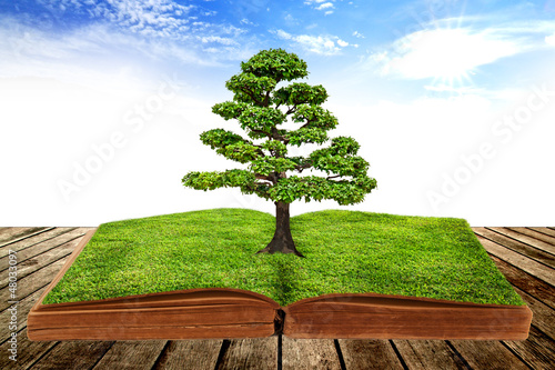 The big tree growth from a book with beautiful sky background