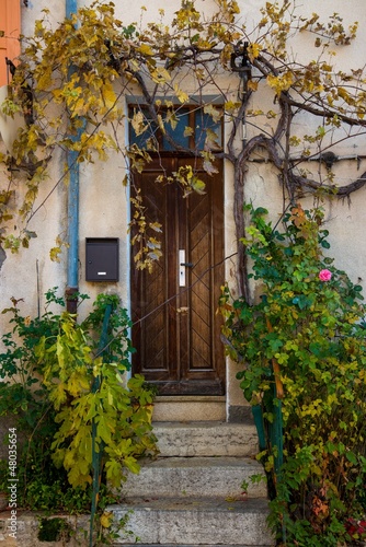 House entrance with plants around © Nejron Photo