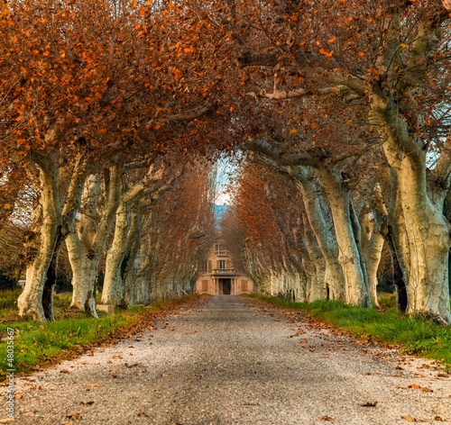 Beautiful alley with mansion in the end