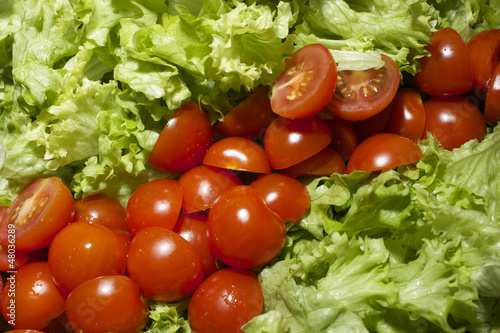 Salat mit Tomaten