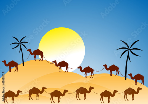 Vector caravan of camels in a desert