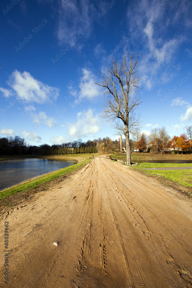 Fototapeta premium the rural road