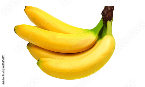 Vector bananas isolated on white background
