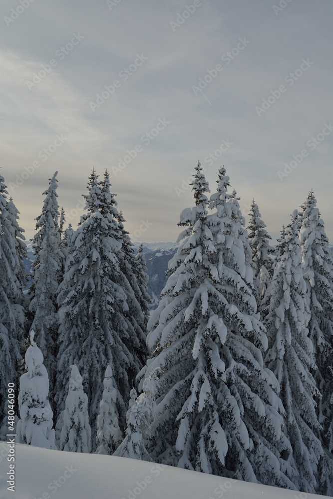 Fototapeta premium mountain winter landscape