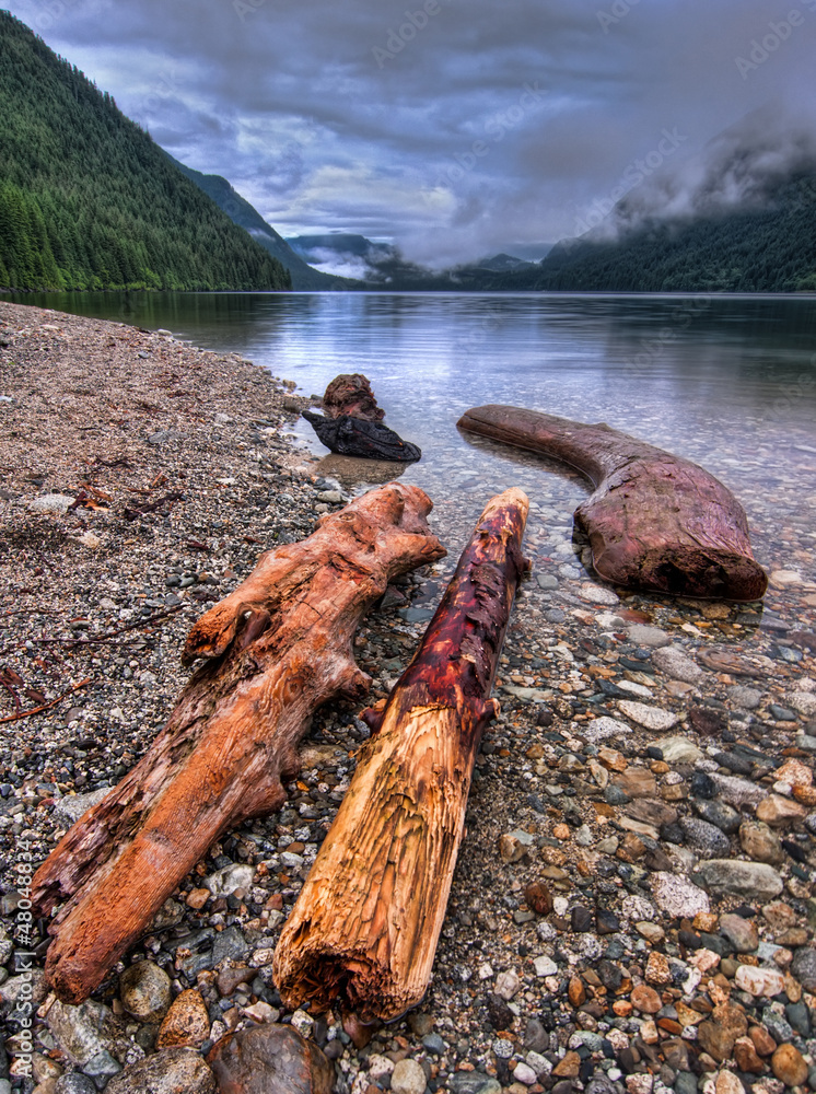 Distant Clouds with Logs Close Up Distant Clouds with Logs Close Up