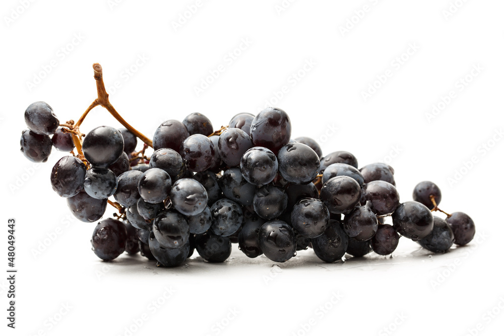 Twig of black grape on white