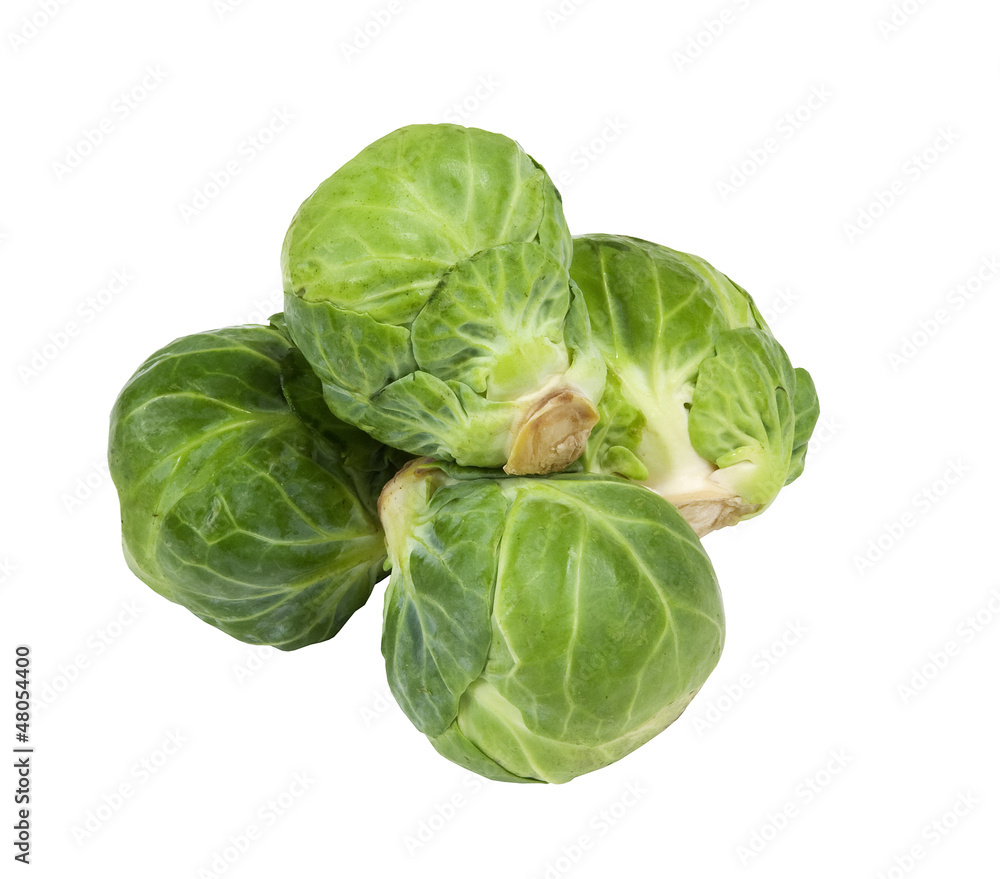 fresh aromatic brussel sprouts on a white background fresh aromatic brussel sprouts on a white background