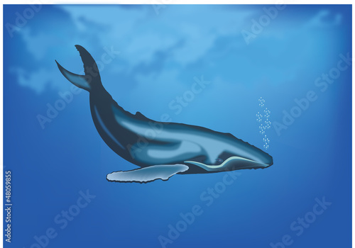 balena