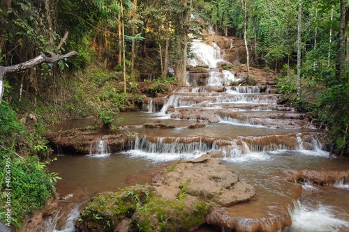 Jungle and waterfall