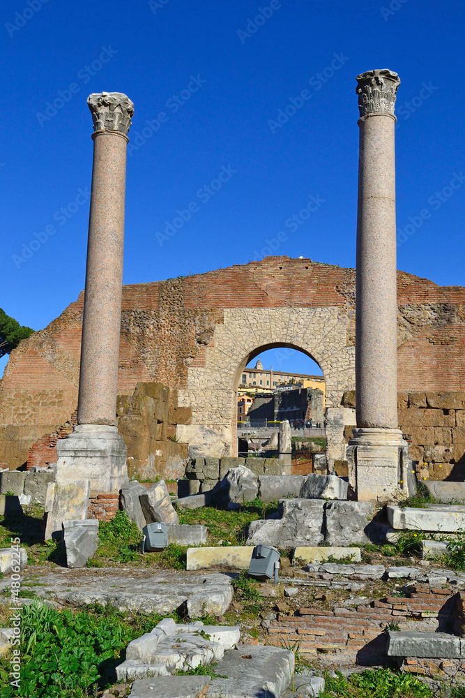 Resti della Basilica Emilia - Foro Romano