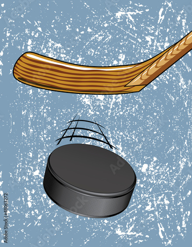 Photography Hockey Puck on Ice