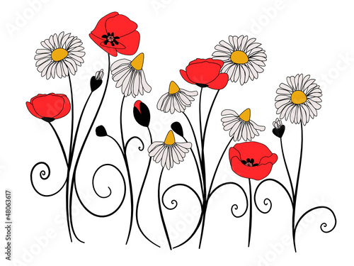 blumenwiese, kamille, margerite, klatschmohn, mohnblume, floral