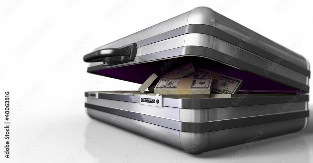 case with money and code success on white background case with money and code success on white background