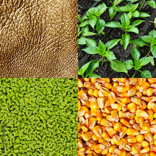 Εκτύπωση καμβά Gold agriculture, commodity background