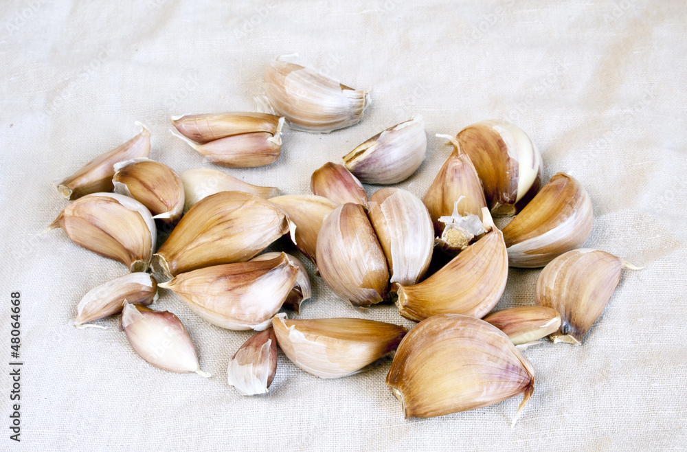 Garlic Garlic