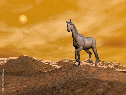 Brown horse on the mountain - 3D render © Elenarts