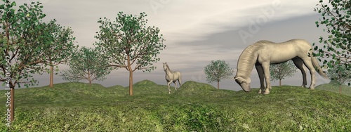 Fleabitten grey horses in nature - 3D render photo