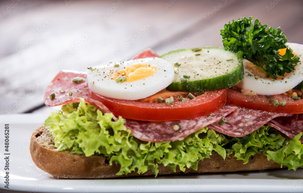 Fresh made Salami Sandwich