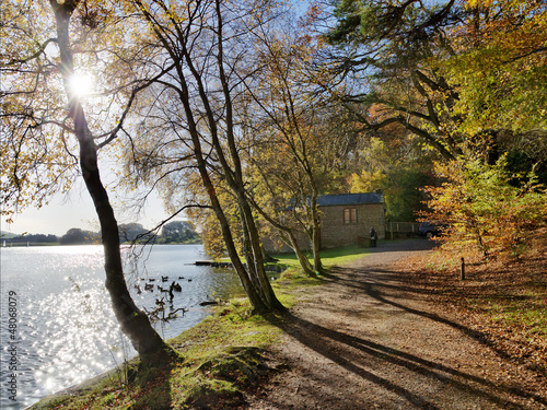 Trees at Talkin Tarn on an Autumn day.