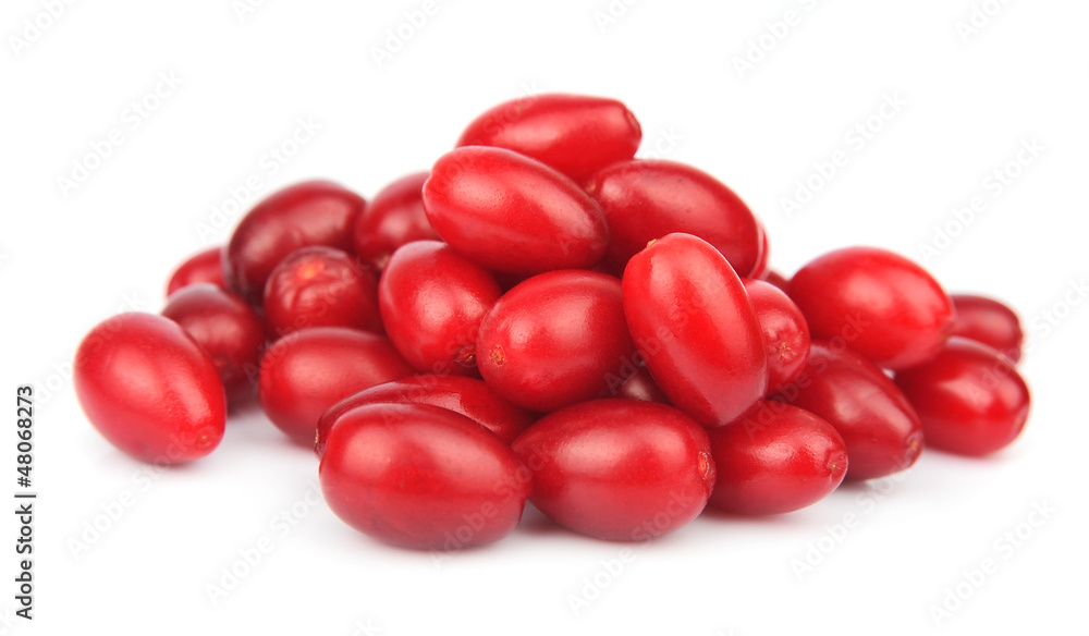 sweet dogberry sweet dogberry