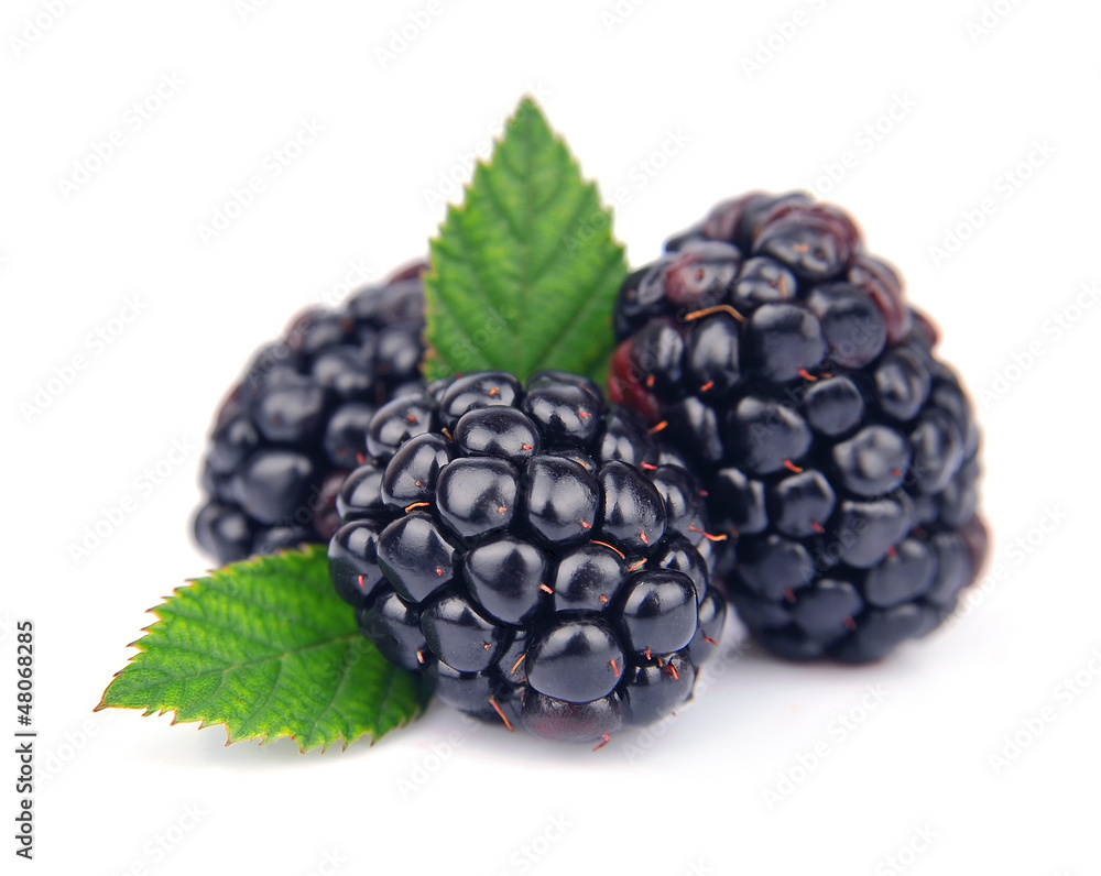 Sweet blackberry fruit Sweet blackberry fruit