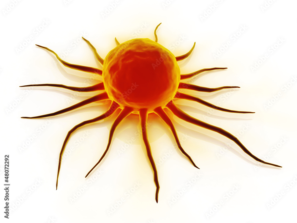 stem cell stem cell