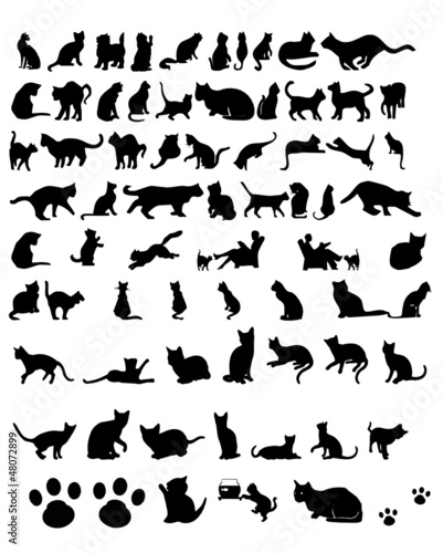 kedi siluet vektör