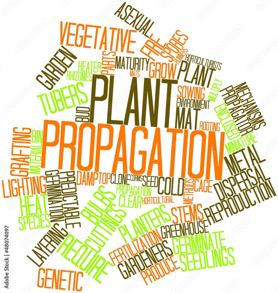 Word cloud for Plant propagation Stock Illustration Adobe Stock
